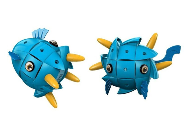 Animal para Montar Kor Tazoo - Beto