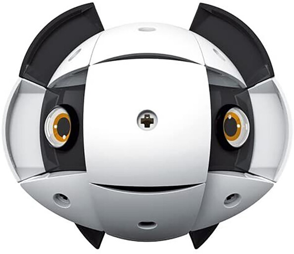 Animal para montar Kor Tazoo - Jelo