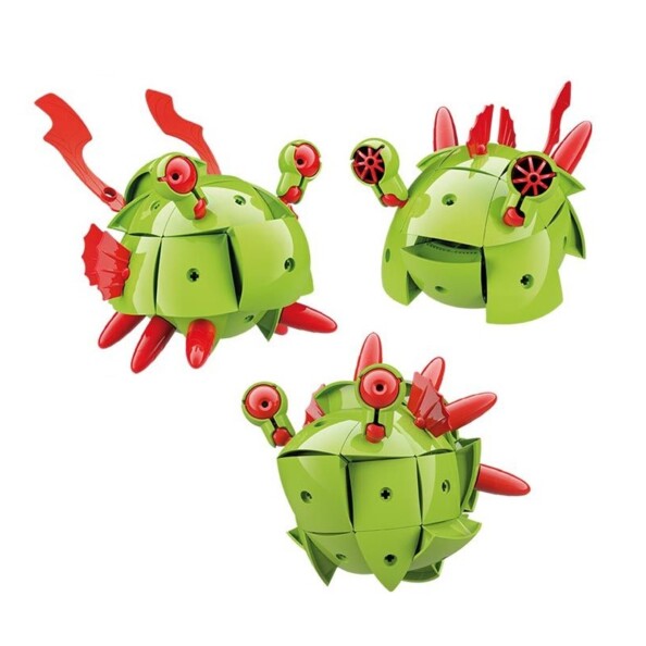 Animal para montar Kor Tazoo - Paco