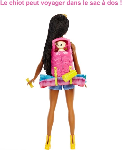 Muñeca Barbie Brooklyn de Barbie Familia –Camping con accesorios