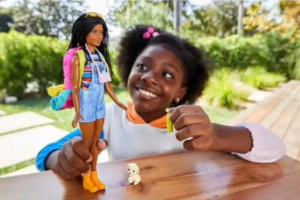 Muñeca Barbie Brooklyn de Barbie Familia –Camping con accesorios