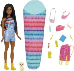 Muñeca Barbie Brooklyn de Barbie Familia –Camping con accesorios