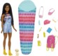 Muñeca Barbie Brooklyn de Barbie Familia –Camping con accesorios