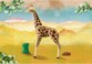 Playmobil Wiltopia – La Jirafa